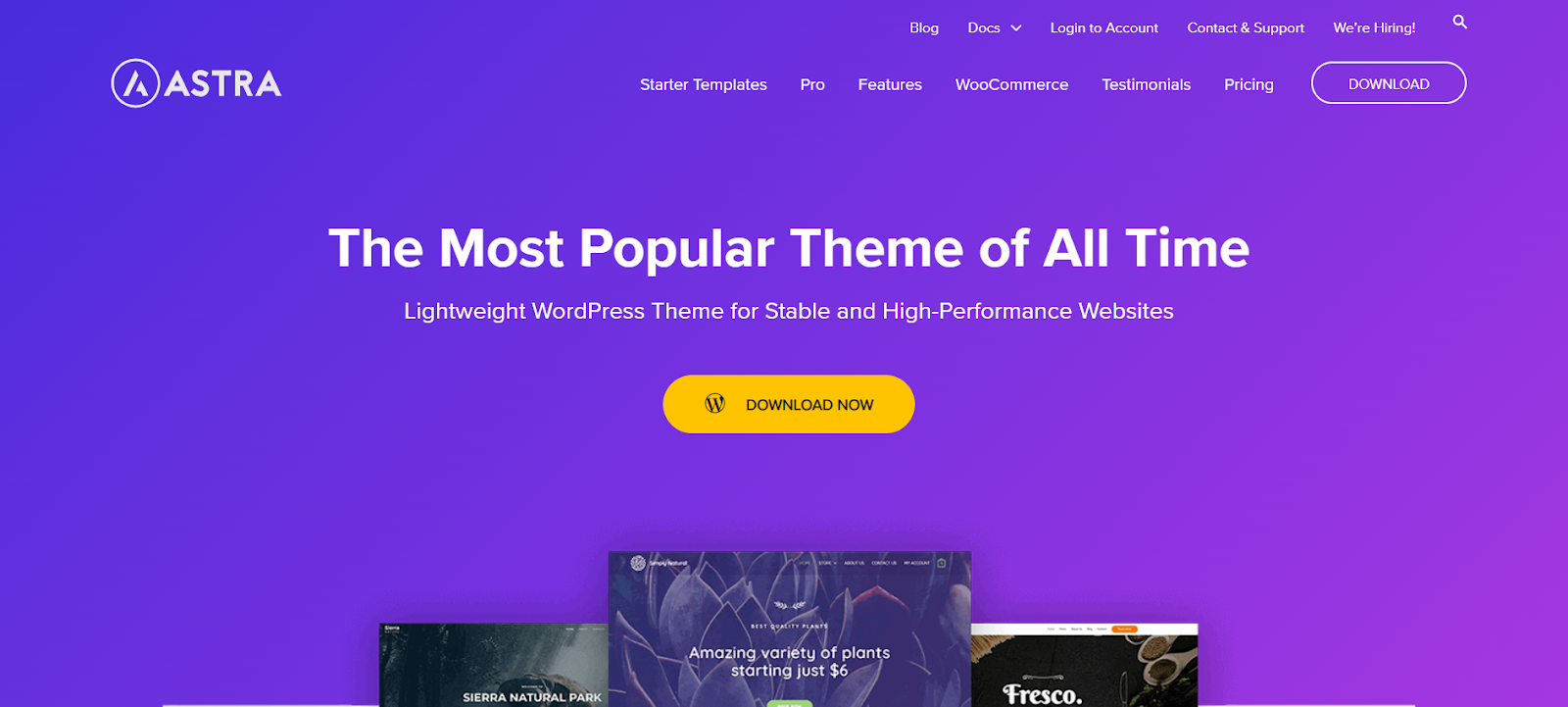 Image 26 10 Best Free Wordpress Themes In [Year] 3