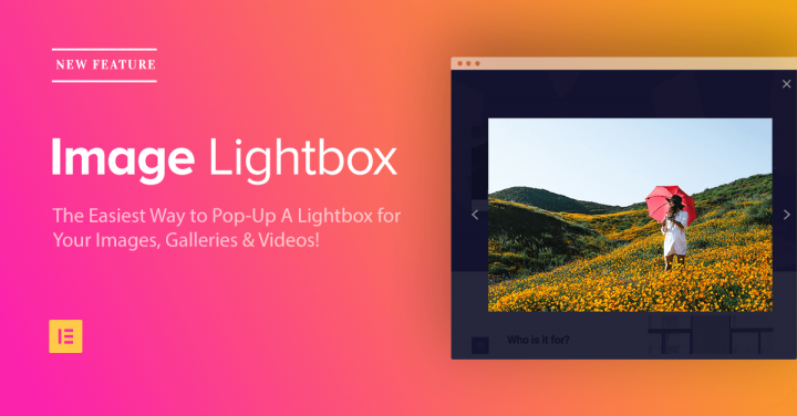 Image Light Box-Fb