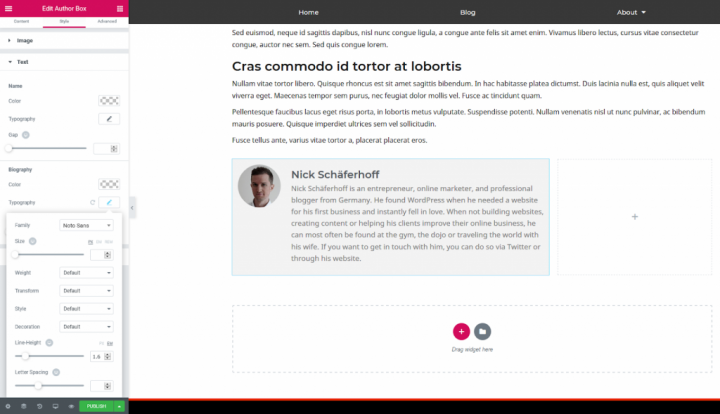 A Screenshot Of Placing The Author Box Widget