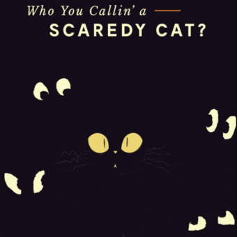 Scaredy Cat One Of The Haloween Newsletter Examples Worth Your Click: 25 Years Of Blogging, Tips For Halloween &Amp; More 3