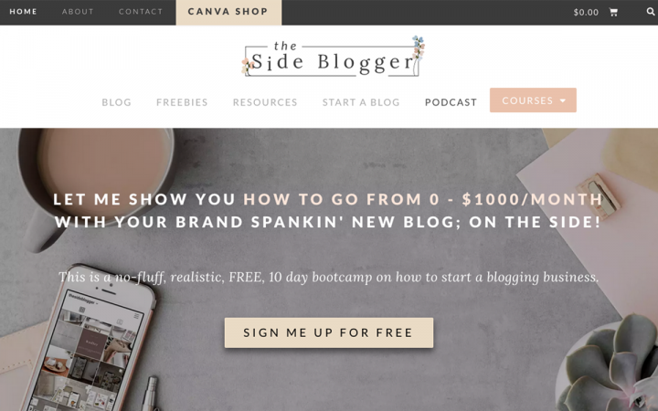 The Side Blogger Elementor Showcase