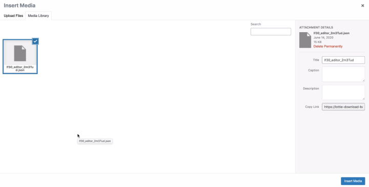 Upload Your Lottie Json File