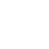 elementor page builder wordpress icon