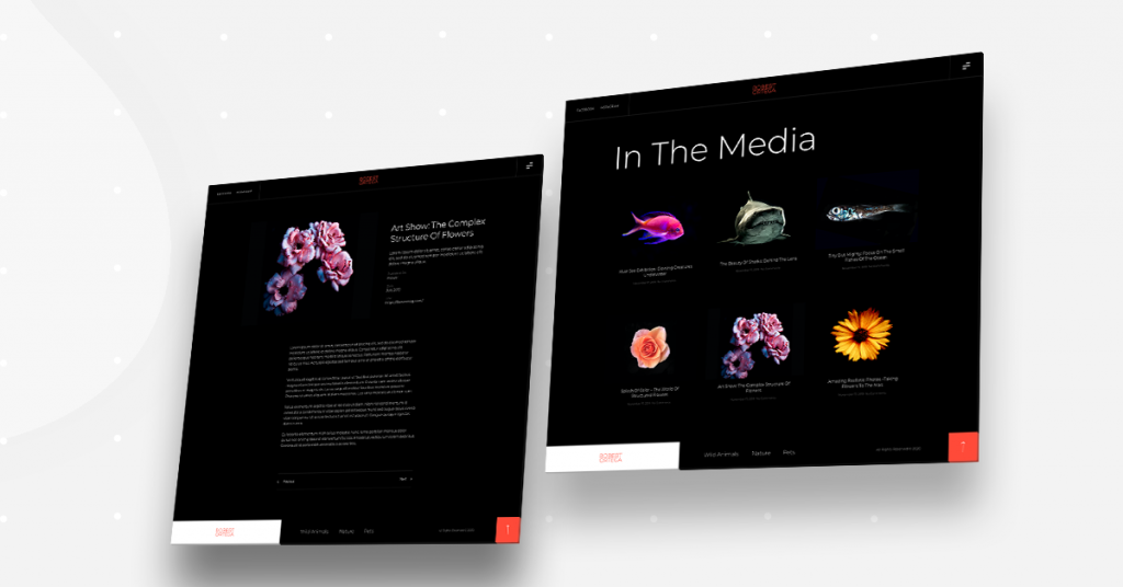 Photography Kit Archive Post Comment Créer Un Site De Photographie En [Year] : Un Guide Complet Utilisant Elementor 3