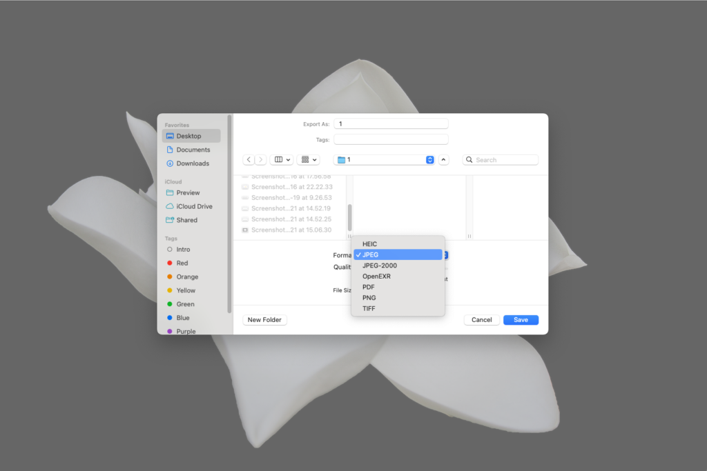 Image 52 How To Optimize Images In [Year]: A Comprehensive Guide For Modern Web Creators 2