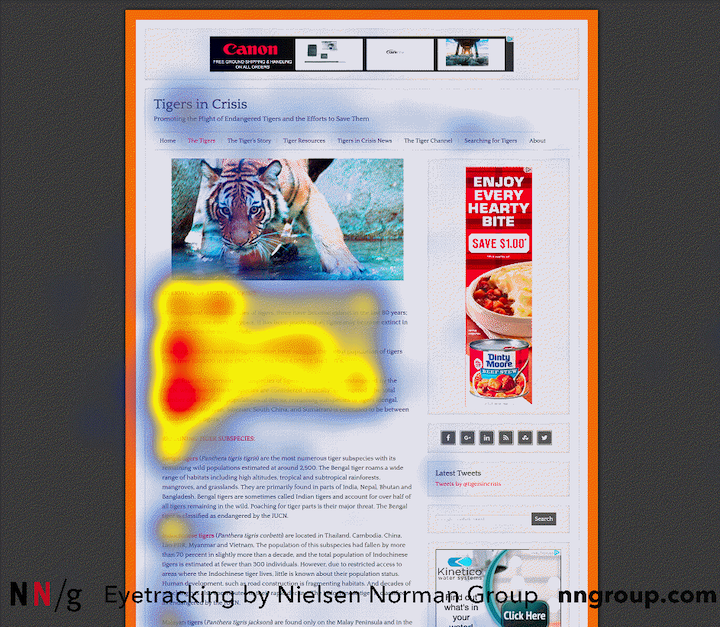 20 Nng Eyetracking Study How To Design The Perfect Cta Button 16