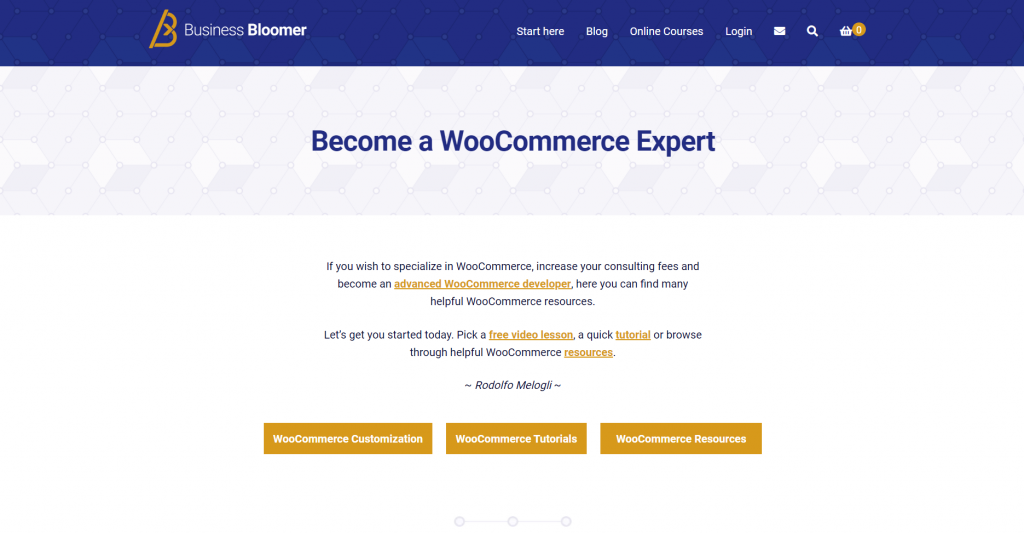 Business Bloomer 15 Helpful Development Resources For Wordpress Developers 7