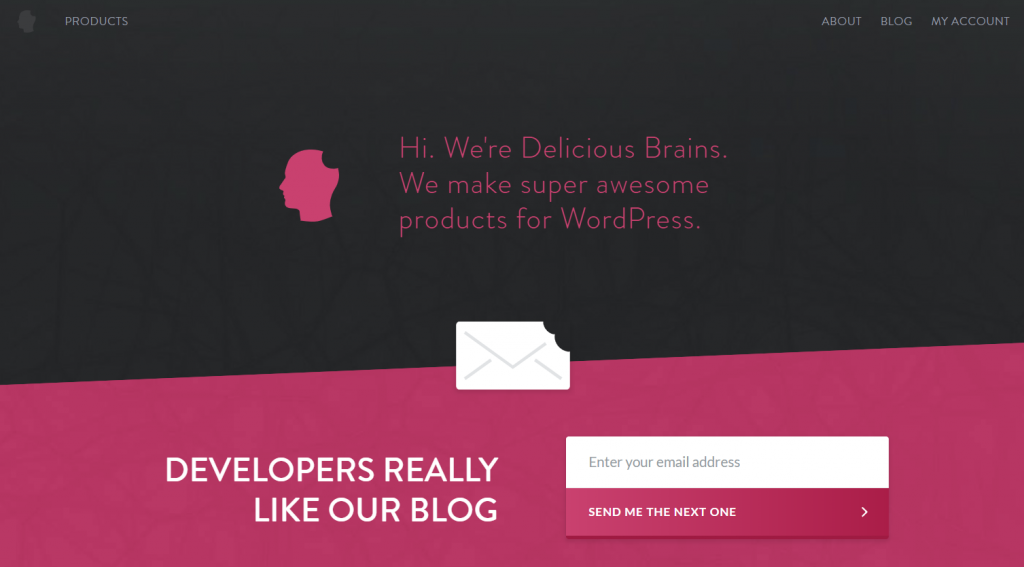 Delicious Brains Blog 15 Helpful Development Resources For Wordpress Developers 1