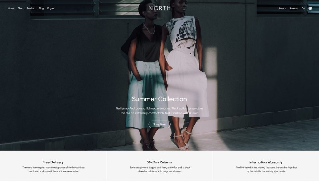 Optimized North 15 Best Woocommerce Themes For Your Online Store [2024] 10