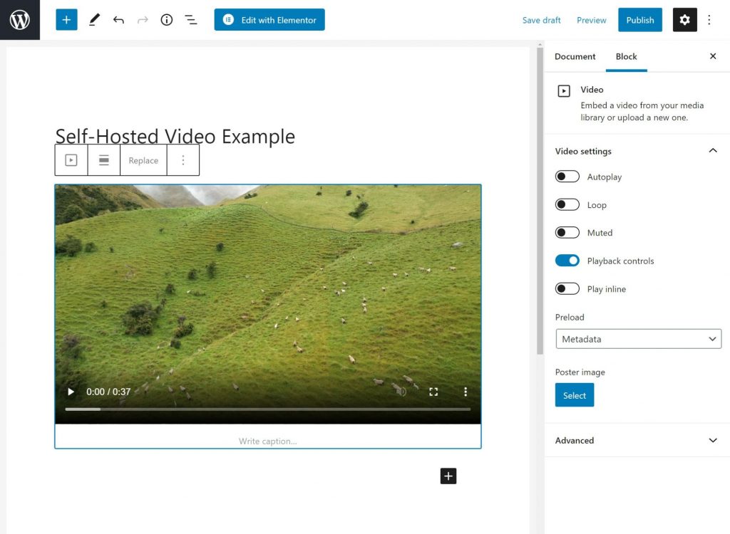 How to Embed a  Video in WordPress – WPHowTo