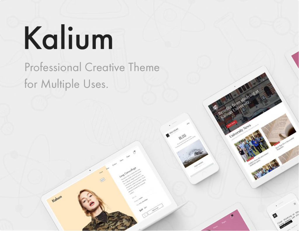 Kalium 15 Best Woocommerce Themes For Your Online Store [2024] 13