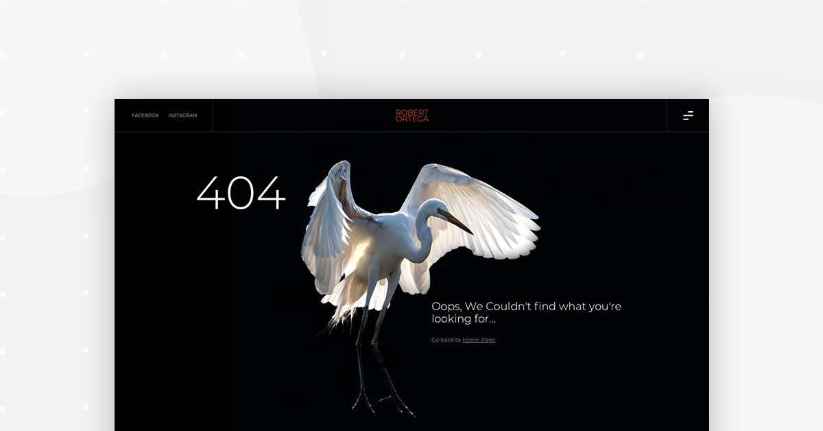 Photography Kit 404 Monthly Template Kits #7: The Photography Site Kit Photography Kit 404 Monthly Template Kits #7: The Photography Site Kit 7