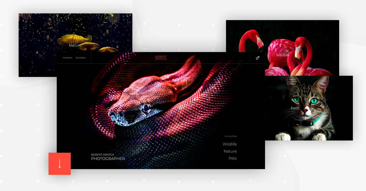 Photography Kit Home Monthly Template Kits #7: The Photography Site Kit Photography Kit Home Monthly Template Kits #7: The Photography Site Kit 1