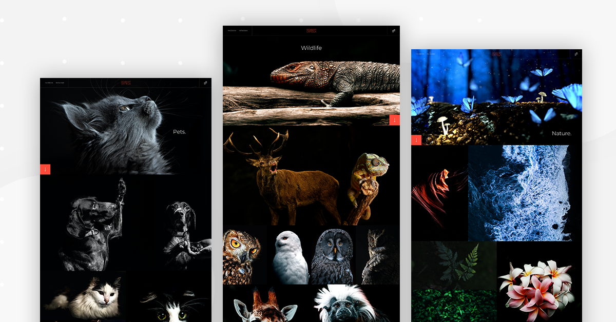 Photography Kit Main Page Monthly Template Kits #7: The Photography Site Kit Photography Kit Main Page Monthly Template Kits #7: The Photography Site Kit 2
