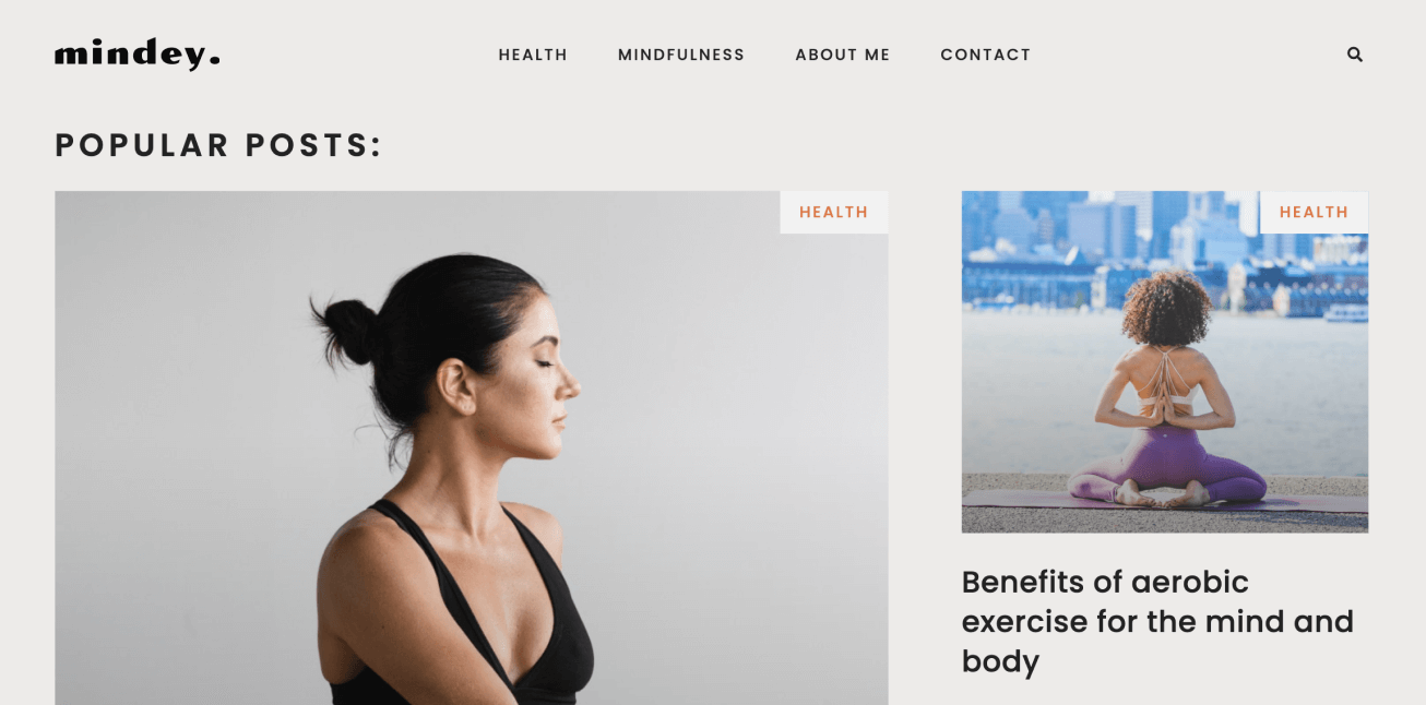Health & Mindfulness Blog, Elementor Kit