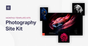 Facebook Photography Introducing Elementor'S Monthly Template Kits 4