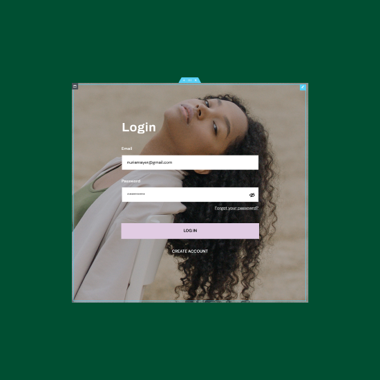 Login Page