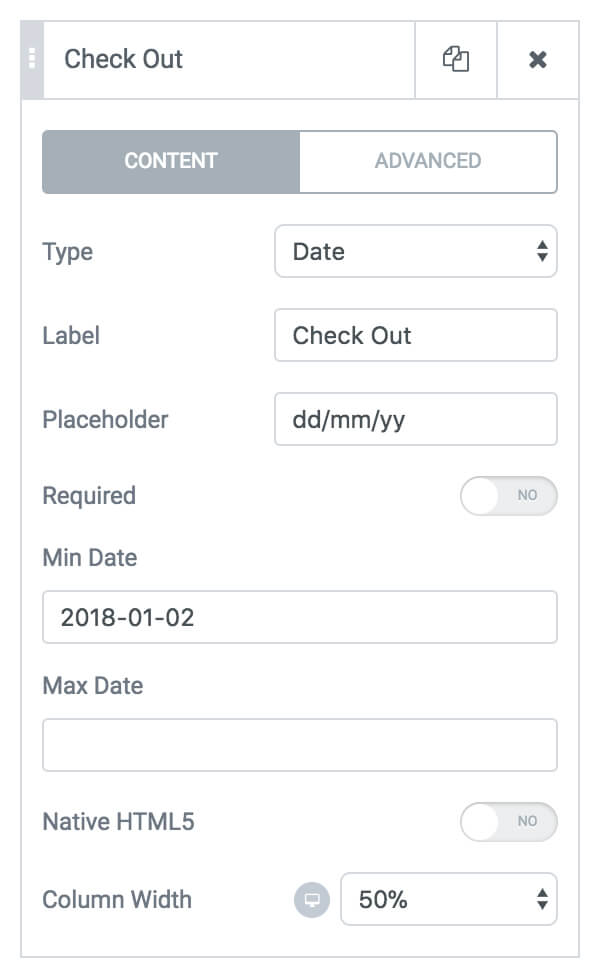 Form Date Field