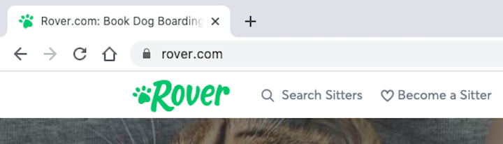 Rover-Logo-And-Favicon