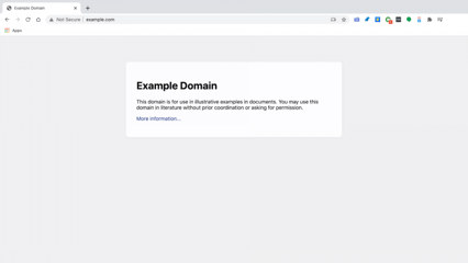 example-domain-extension