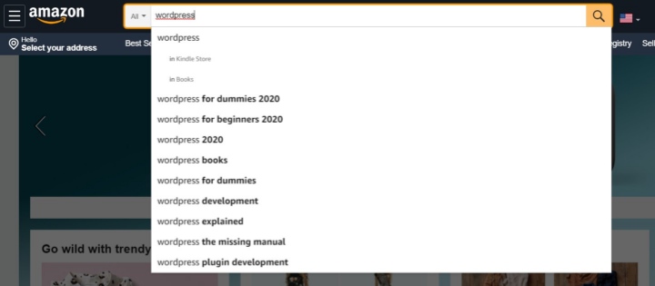 wordpress-search-plugins-examples-1-amazon