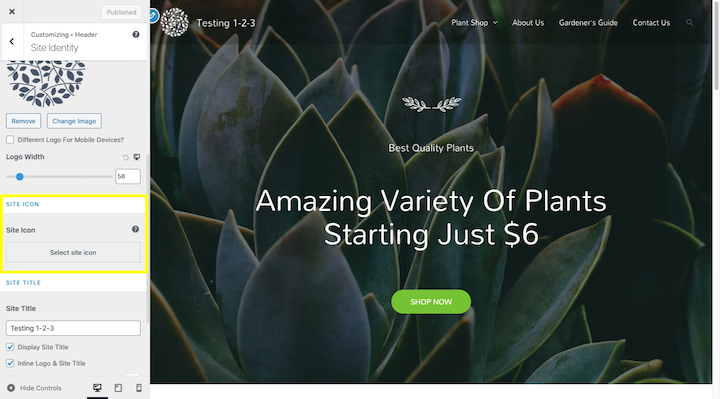 Wordpress-Site-Identity