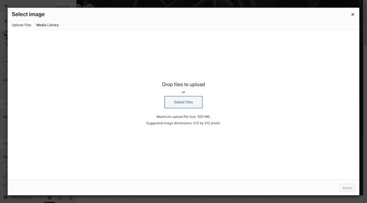 Wordpress-Upload-Files