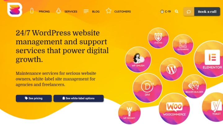 Wordpress Maintenance Services 2 Wpbuffs 7 Best Wordpress Maintenance &Amp; Support Services In 2024 2