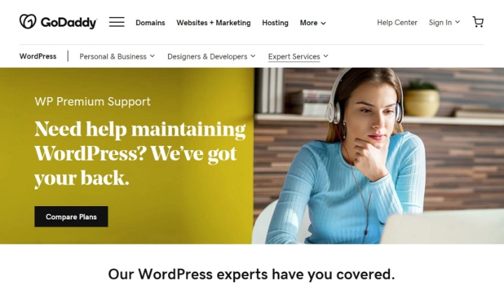Wordpress Maintenance Services 7 Godaddy 7 Best Wordpress Maintenance &Amp; Support Services In 2024 7