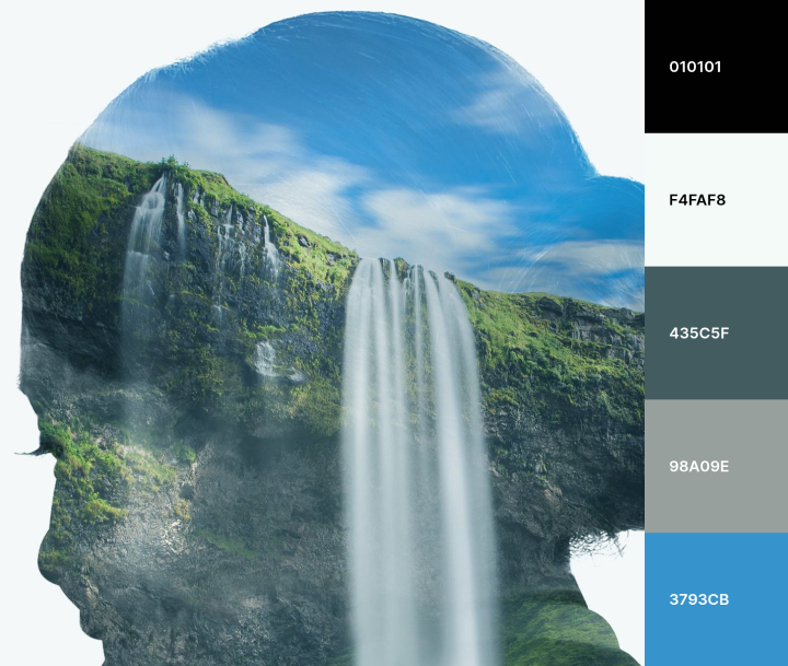 klm color palette