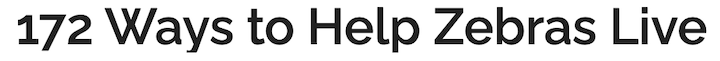 15 Raleway Font 40 Best Fonts For Websites (Free And Paid) 9