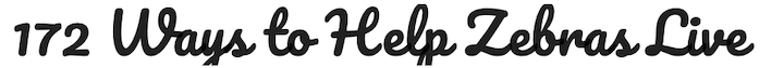 Pacifico-Font