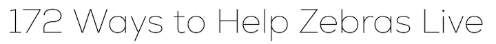 Nexa-Font