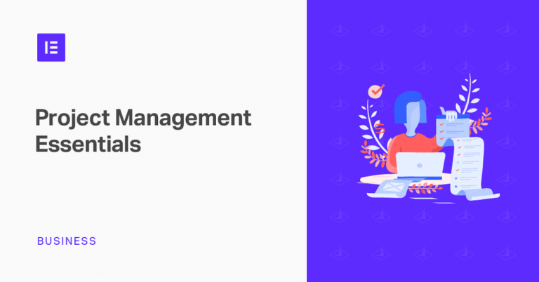 Website Project Management