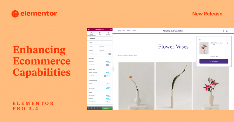 Ecommerce capabilities