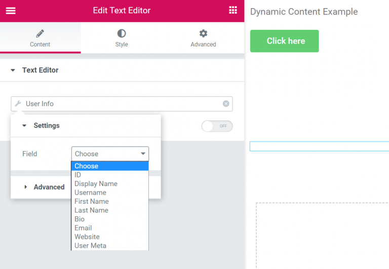 Dynamic User Info What Is Dynamic Content In Elementor Pro? Plus How To Use Dynamic Content 2