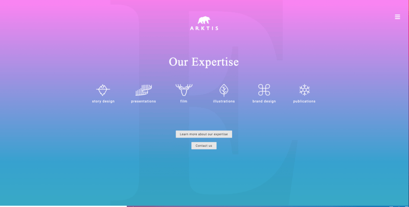 Arktis Web Design Agency