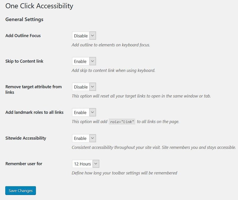 Access8 How To Make Your Website Accessible With Elementor Access8 How To Make Your Website Accessible With Elementor 10
