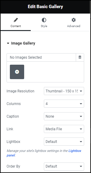 Content tab Basic Gallery widget 165