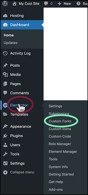 image 1 Add custom static fonts 1