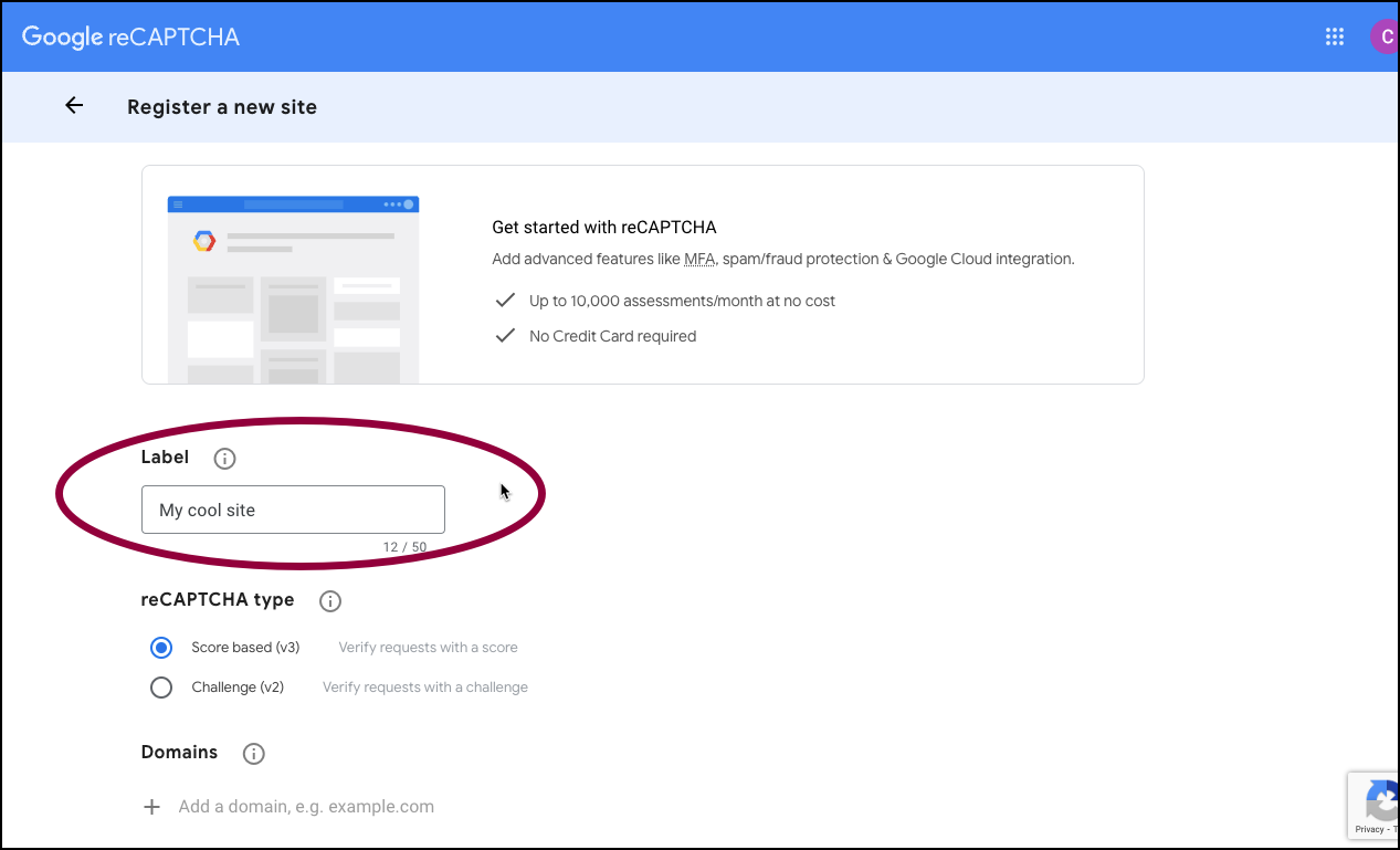 Add a label Add reCAPTCHA to prevent spam 1