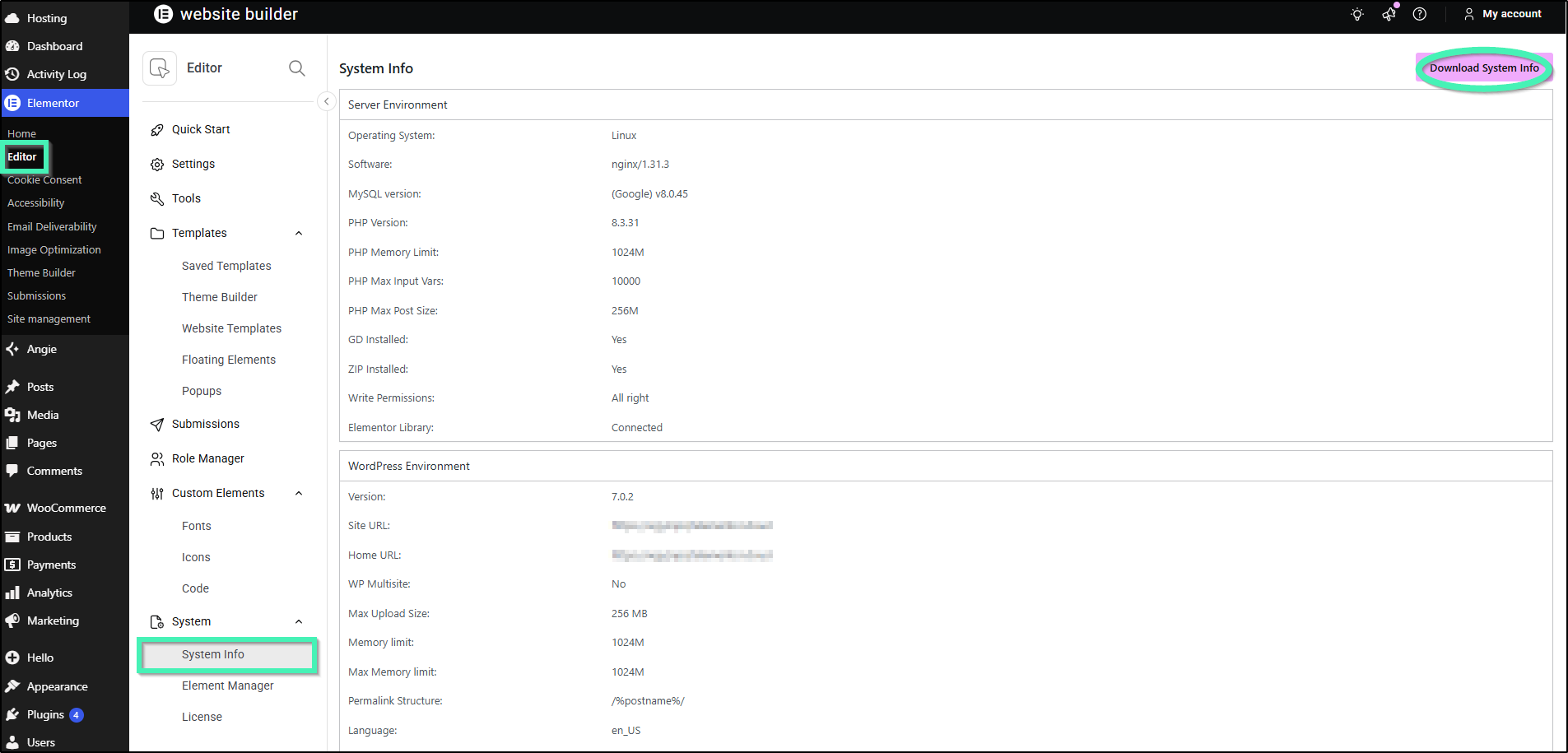 system info