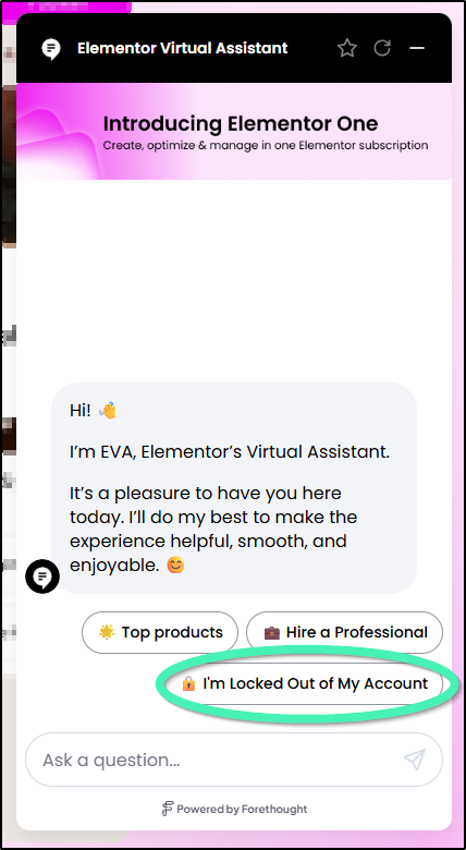 Virtual Assistant showing I'm locked out option