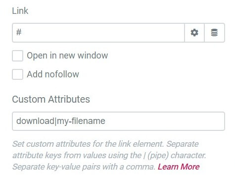 custom attributes Custom Link Attributes 4