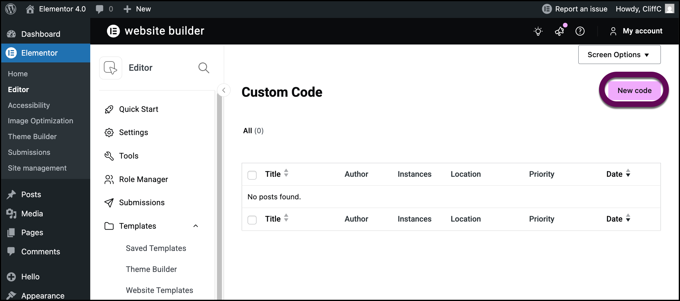 The New Code button to add custom code to the site.