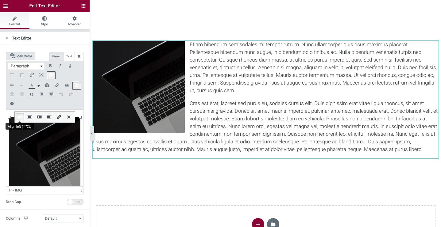 How To Use The Text Editor Widget | Elementor.com