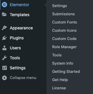 Elementor Menu Elementor settings 1