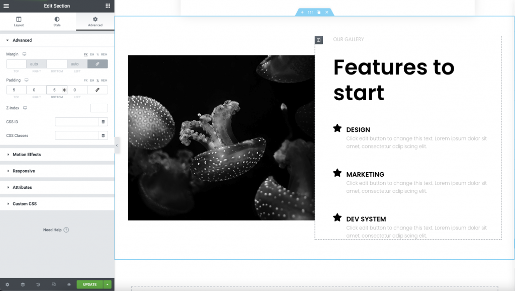 Sections, Columns, Padding and Margins in Elementor