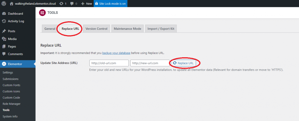 Replace URL 1024x414 1 Migrating your existing Elementor built site to an Elementor hosted website 31