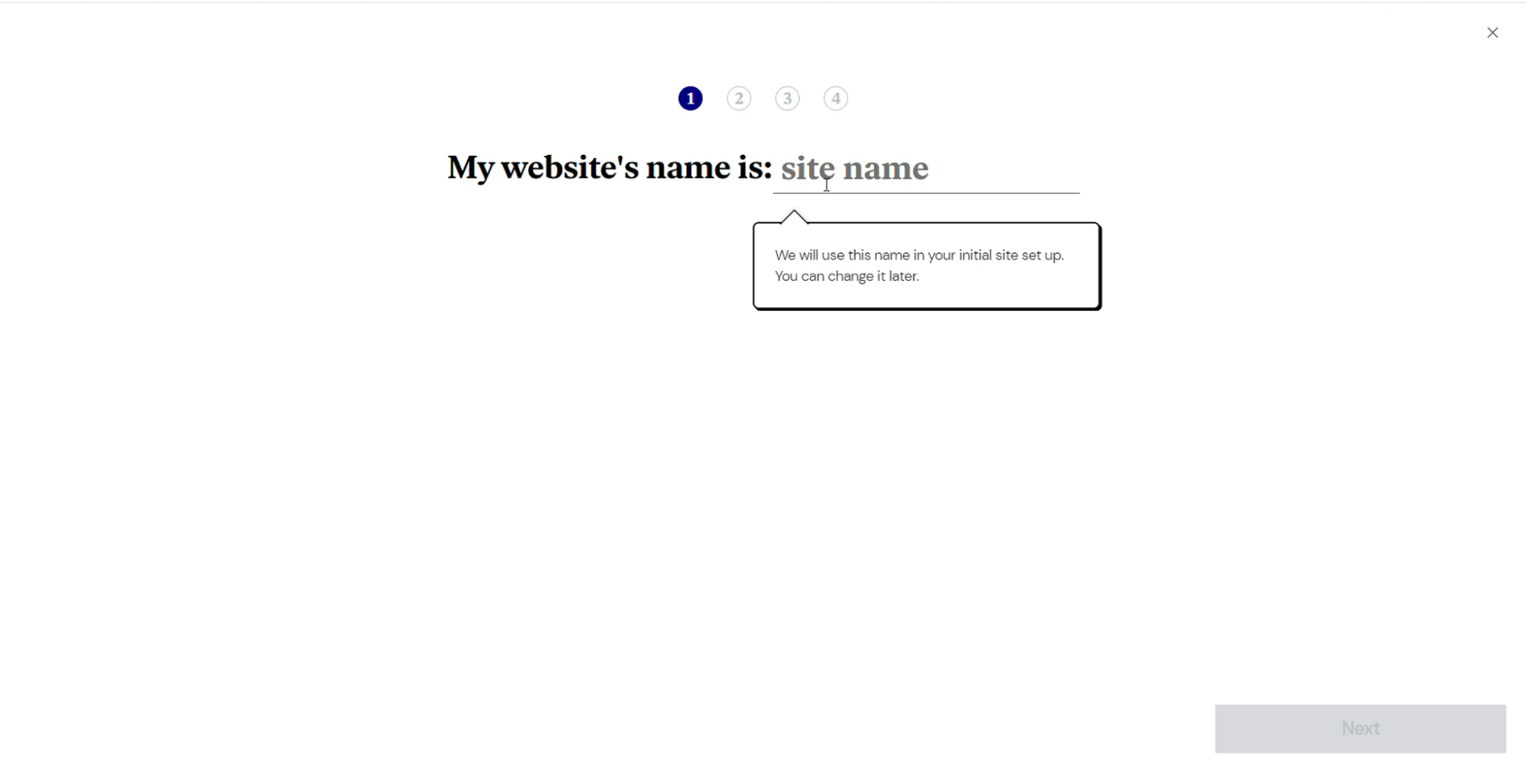 Screenshot of the website naming step during the website creation process.